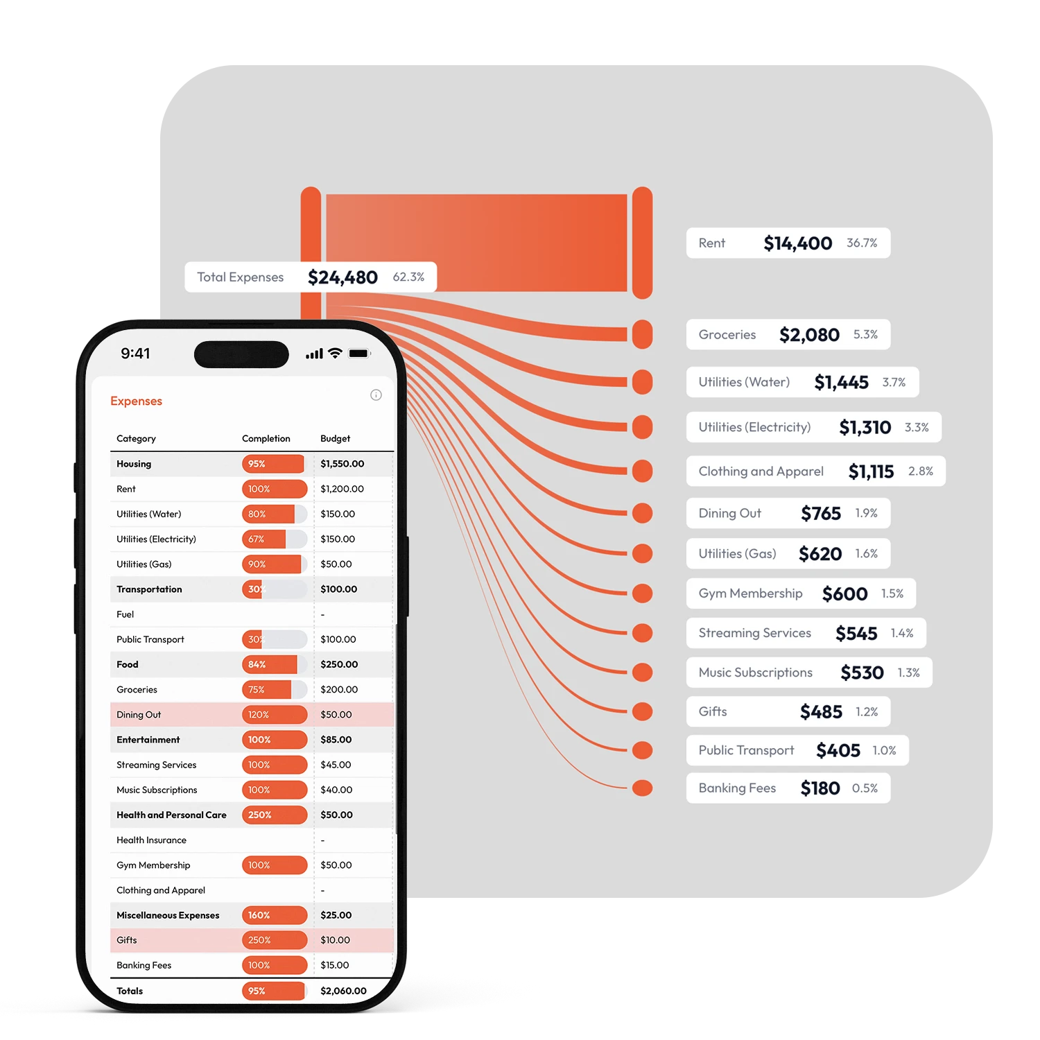 Sankey Expenses Diagram